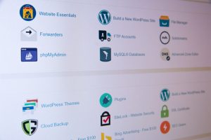 assorted icon lot - best cms for beginners