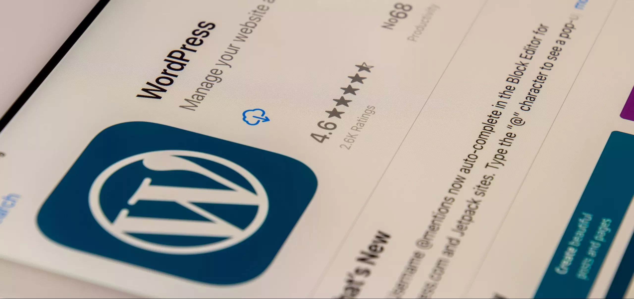 5 Reasons WordPress Is Actually a Good Thing