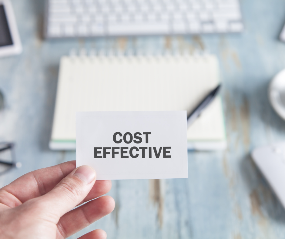 cost-effective development | WordPress development